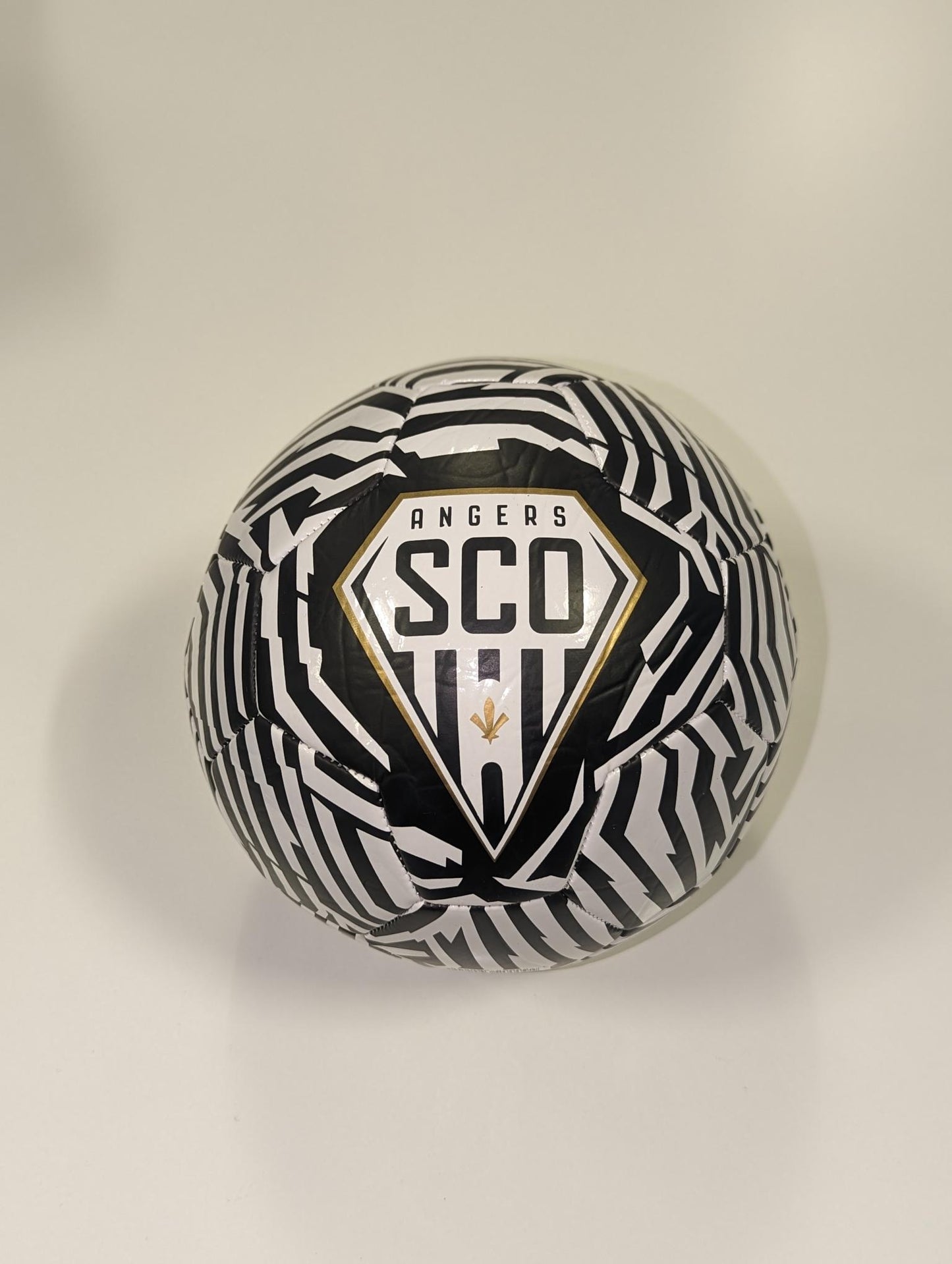 BALLON ZÉBRÉ 22/23