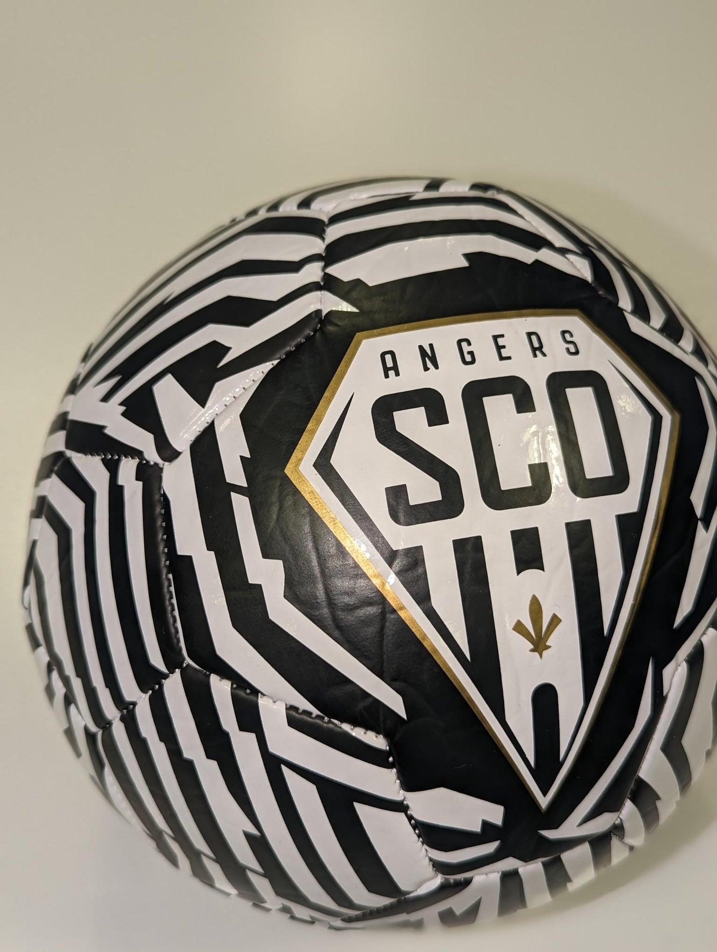 BALLON ZÉBRÉ 22/23