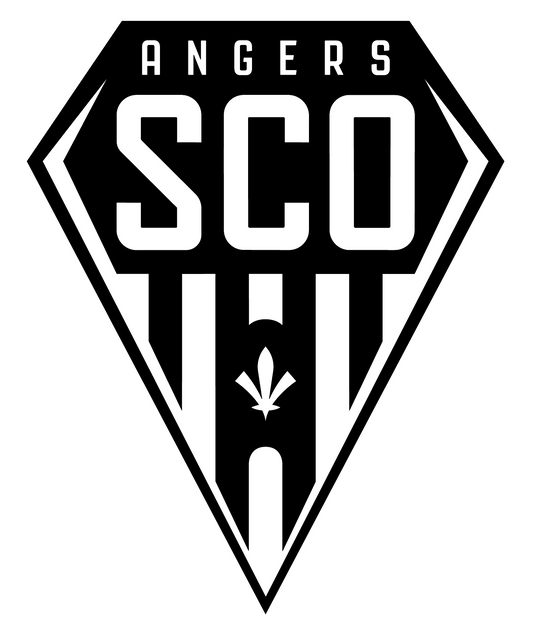 AUTOCOLLANT BLASON SCO