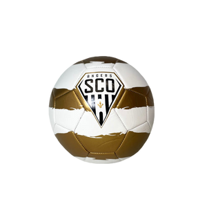 WEISSER &amp; GOLDENER BALLON 24/25