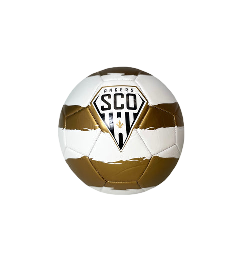 WEISSER &amp; GOLDENER BALLON 24/25
