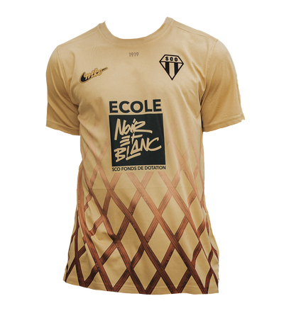 MAILLOT THIRD ADULTE 25/26